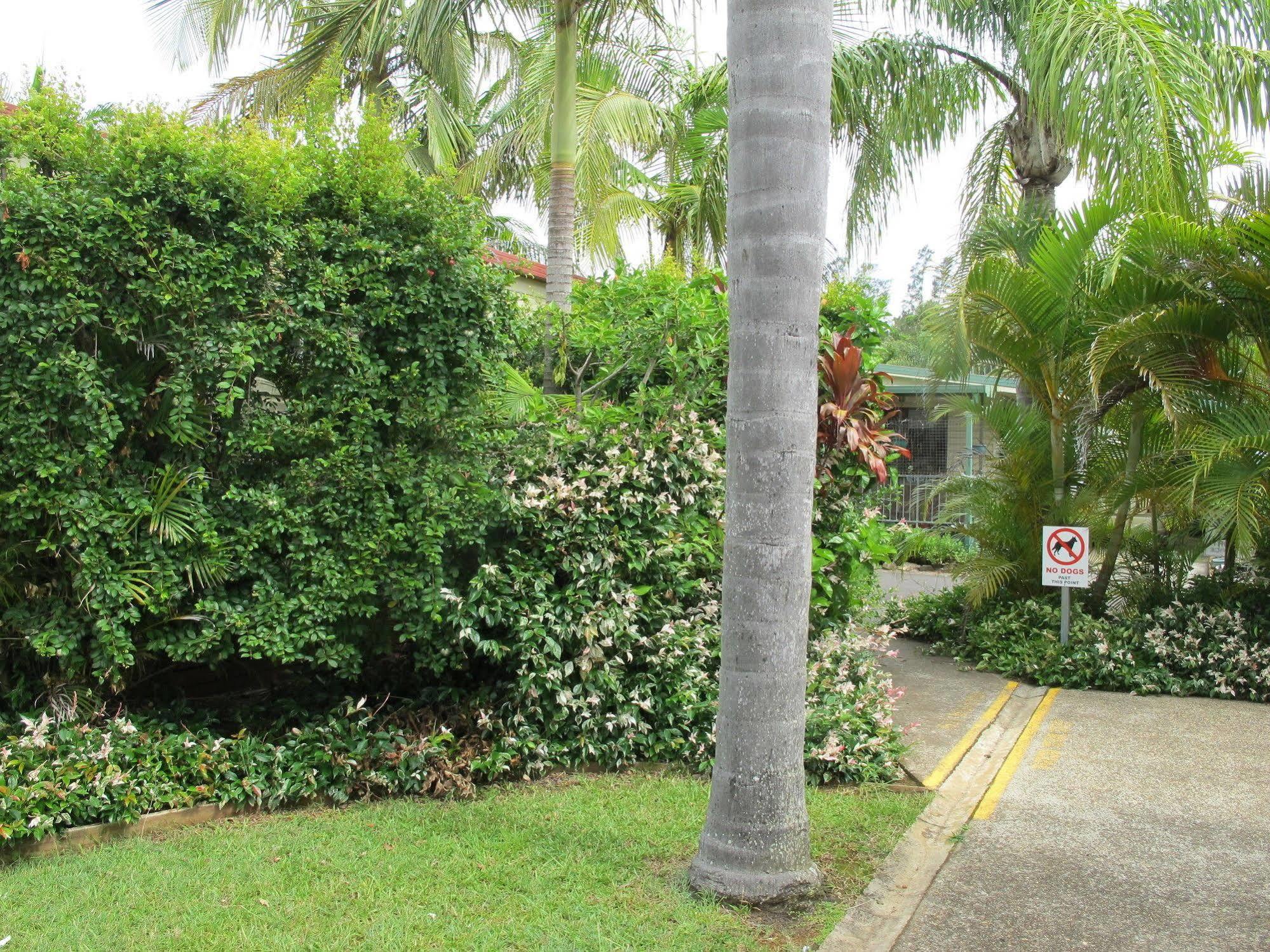 Melaleuca Caravan Park พอร์ตแมคควอรี ภายนอก รูปภาพ